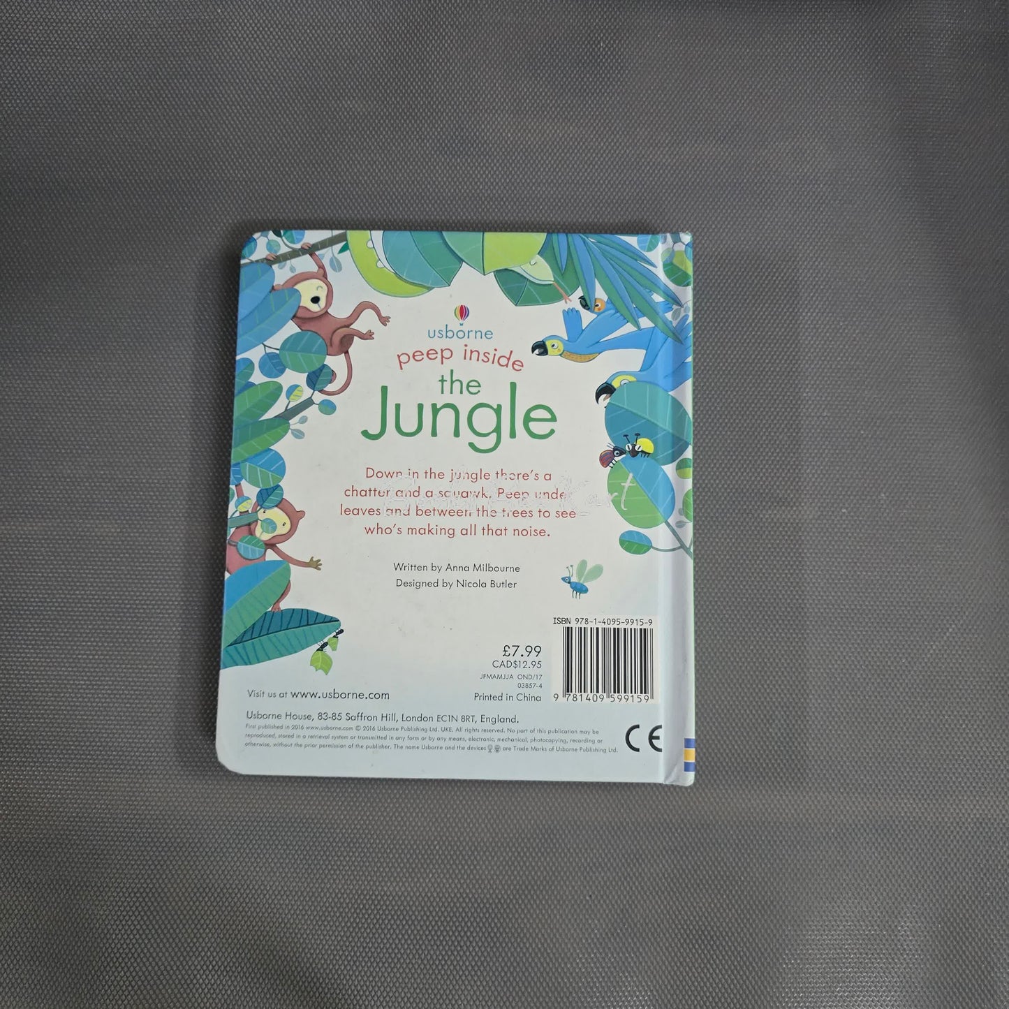 Peep Inside the Jungle