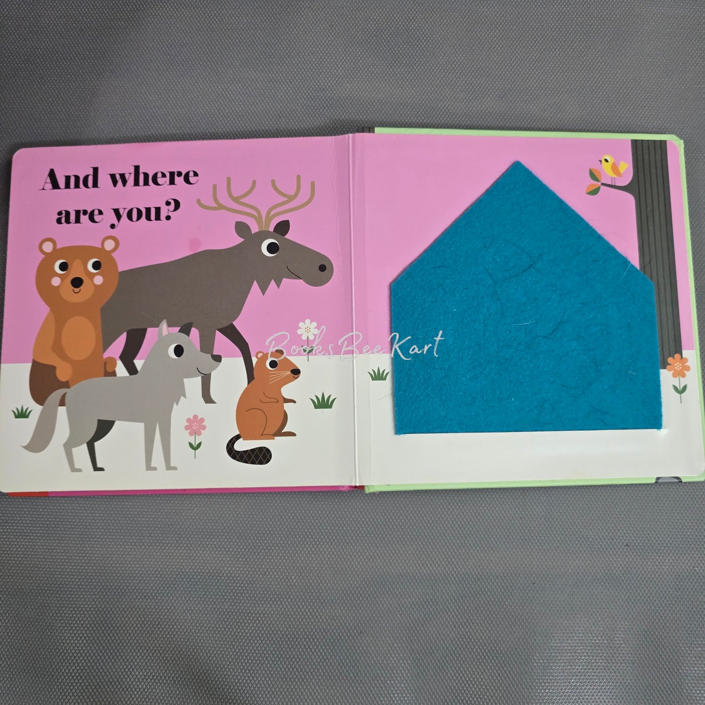 Where's Mrs Bear? Flap Book