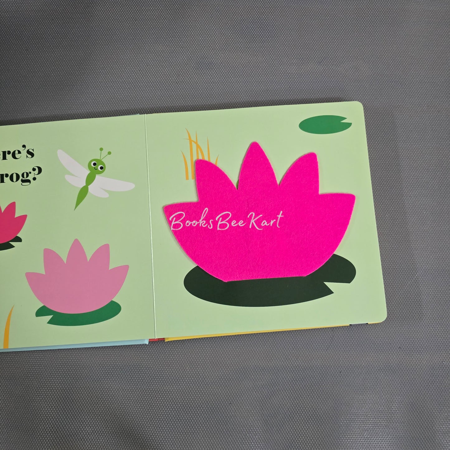 Where's Mr Duck? Flap book