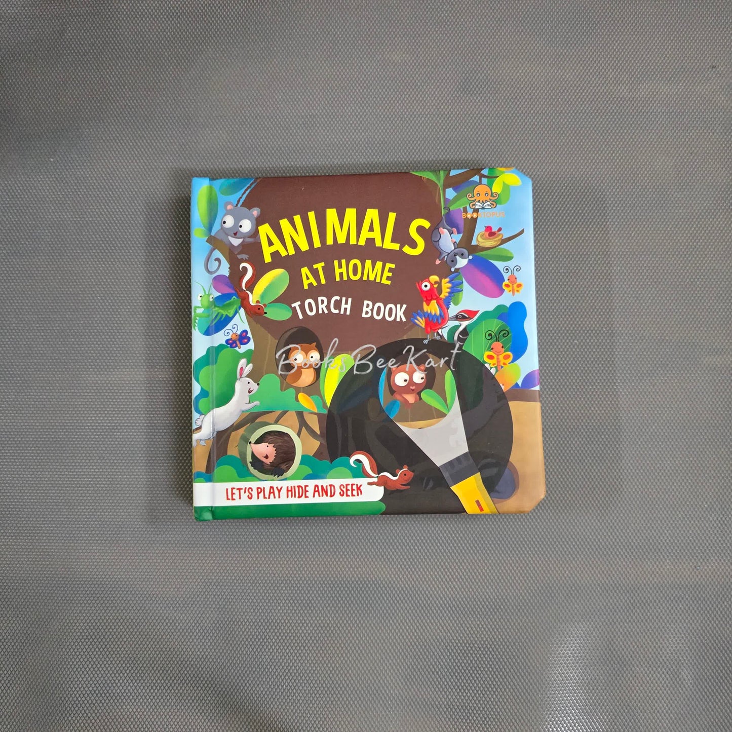 Animals Torch Light