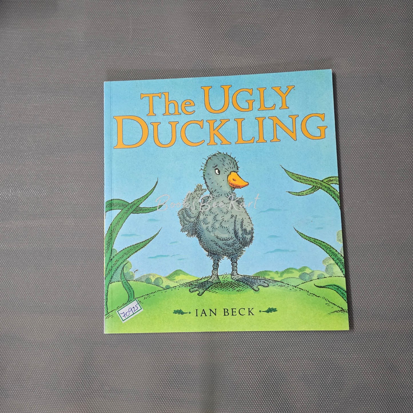 The Ugly Duckling
