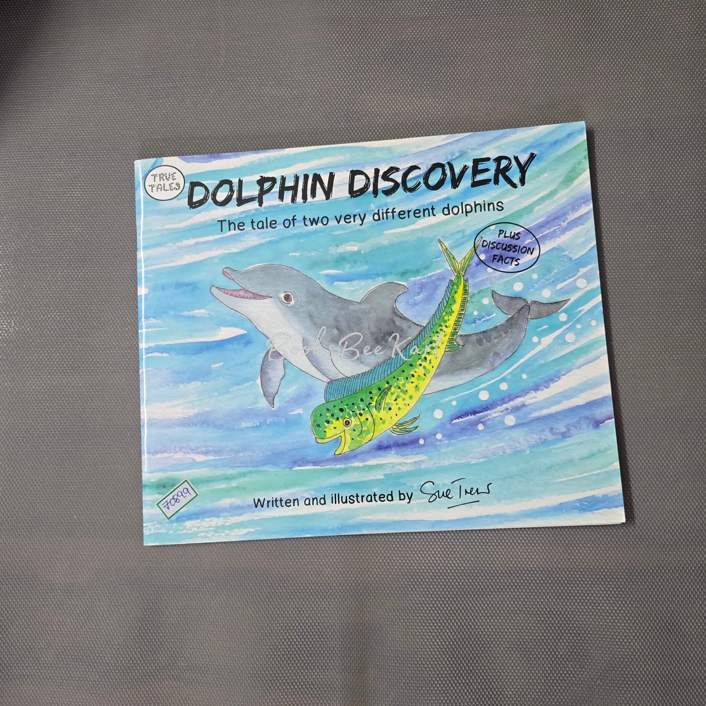 Dolphin Discovery