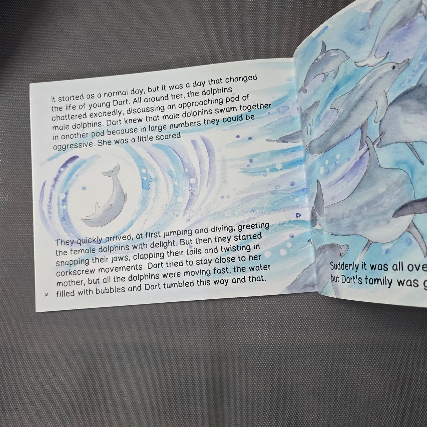 Dolphin Discovery