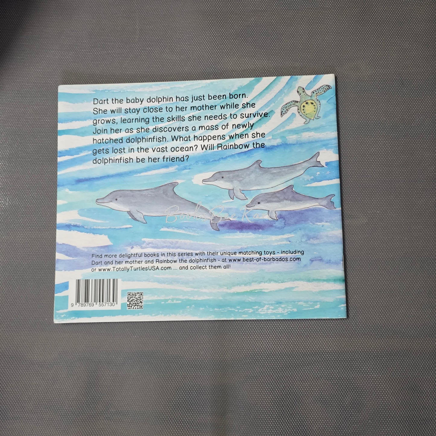Dolphin Discovery