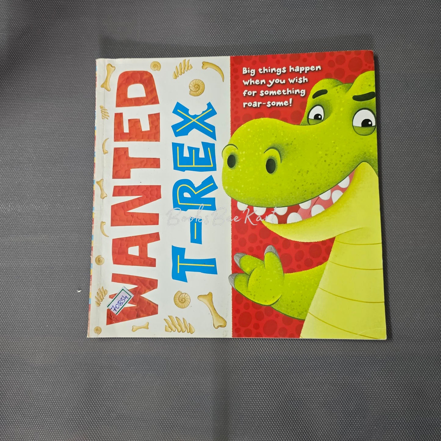 Wanted T - Rex