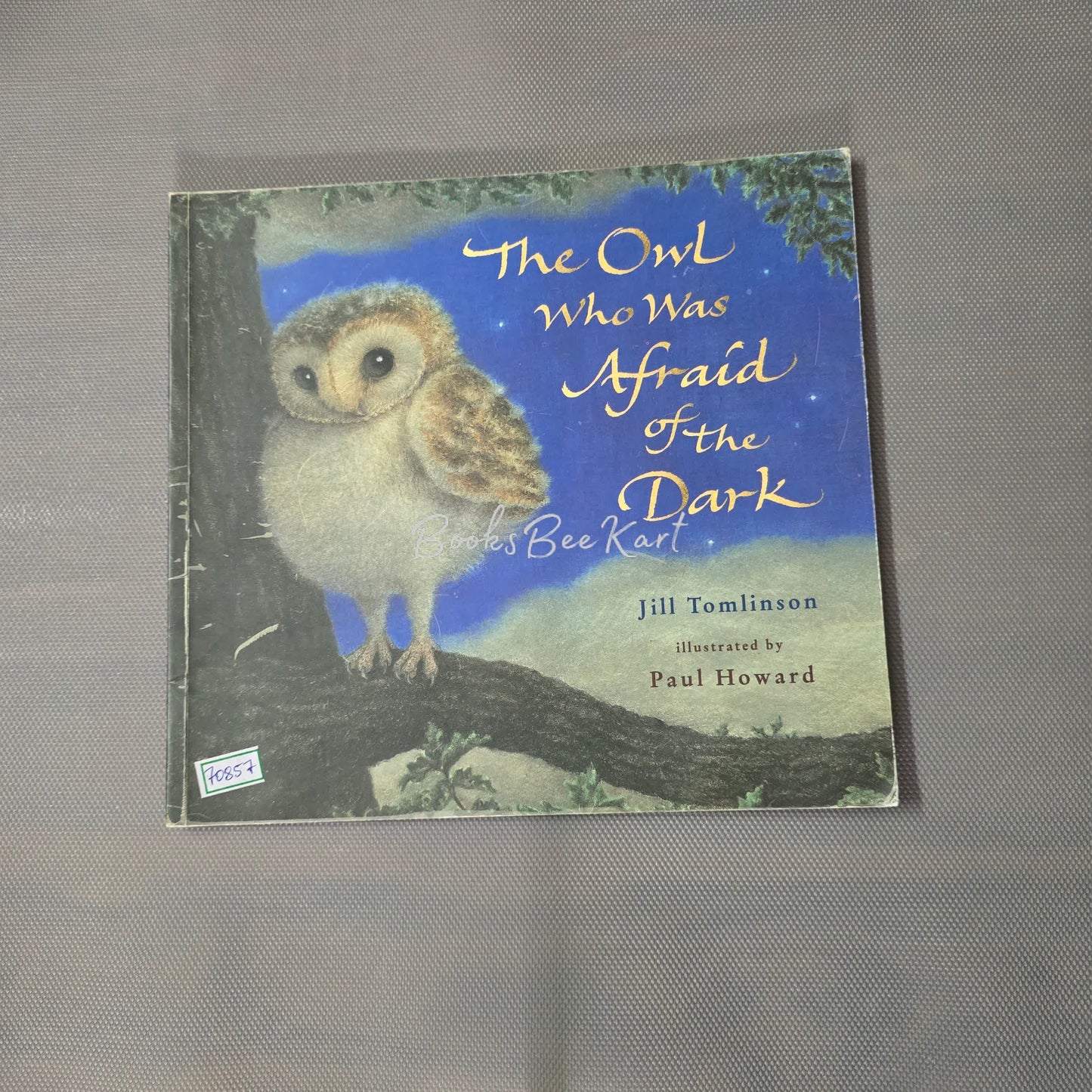 The Owl who was Afraid of the Dark