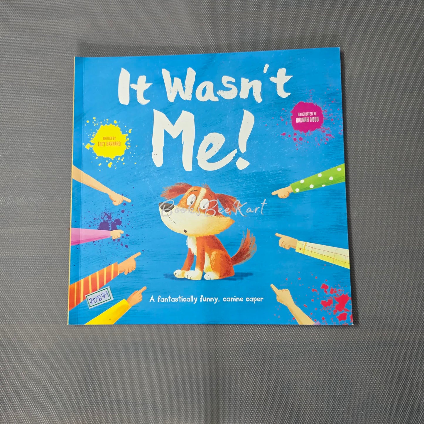 It wasn't Me!