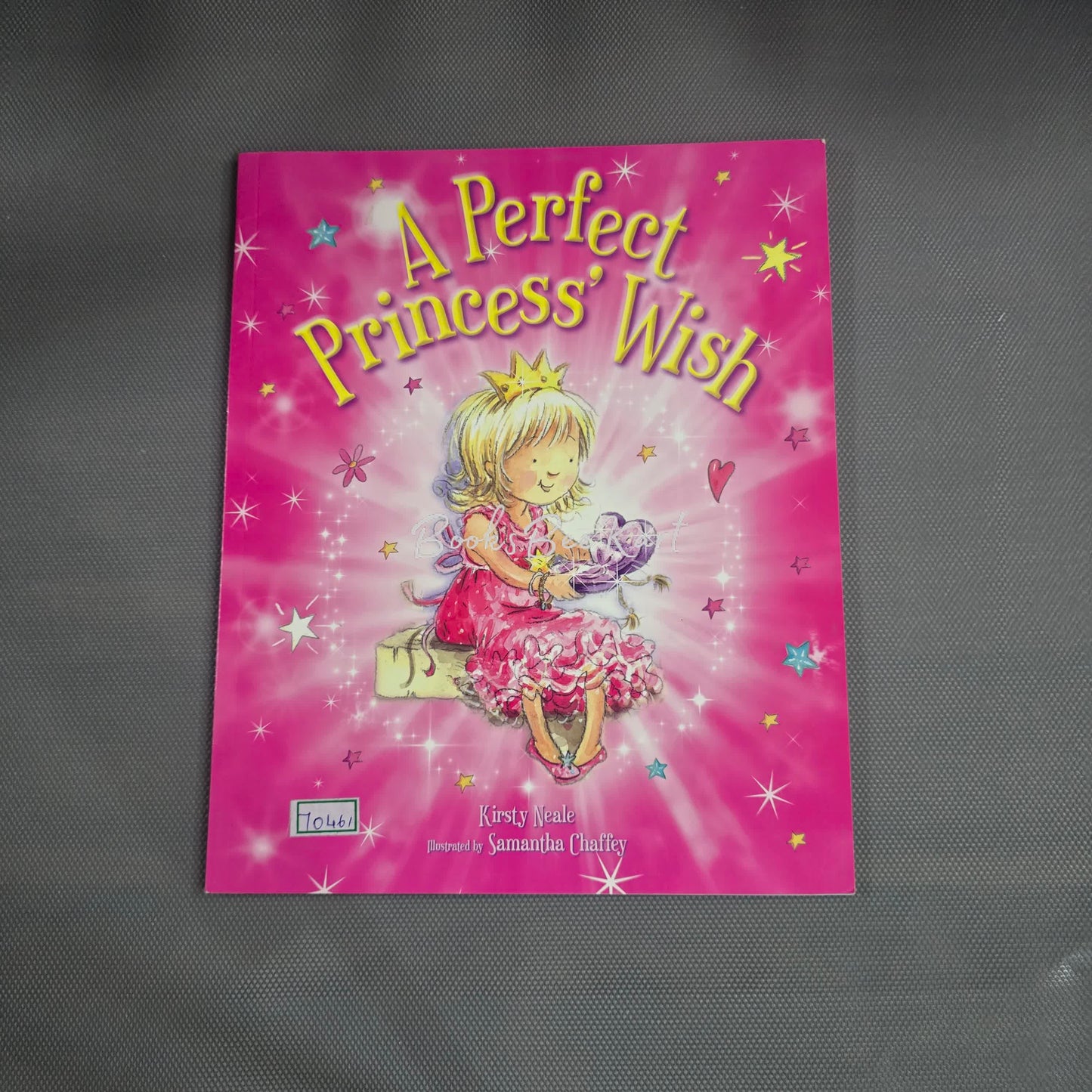 A Perfect Princess Wish