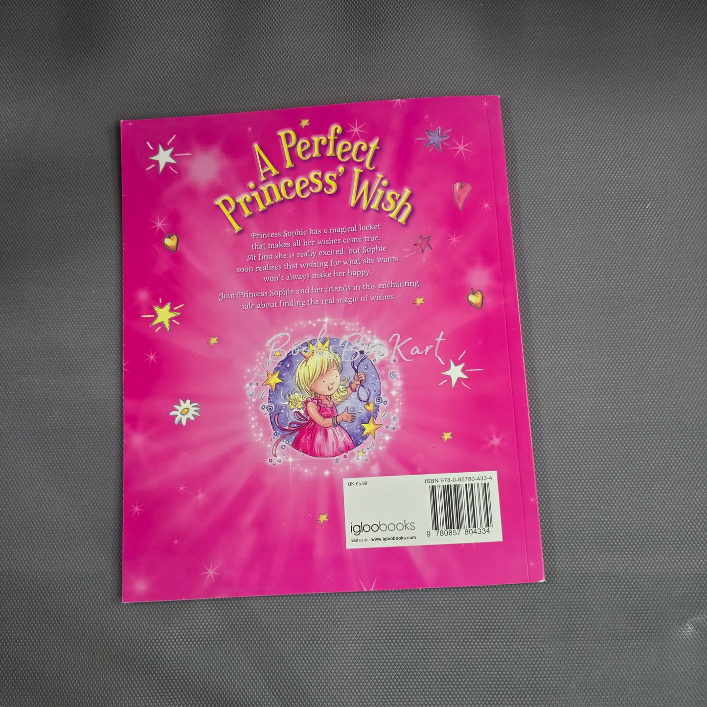 A Perfect Princess Wish