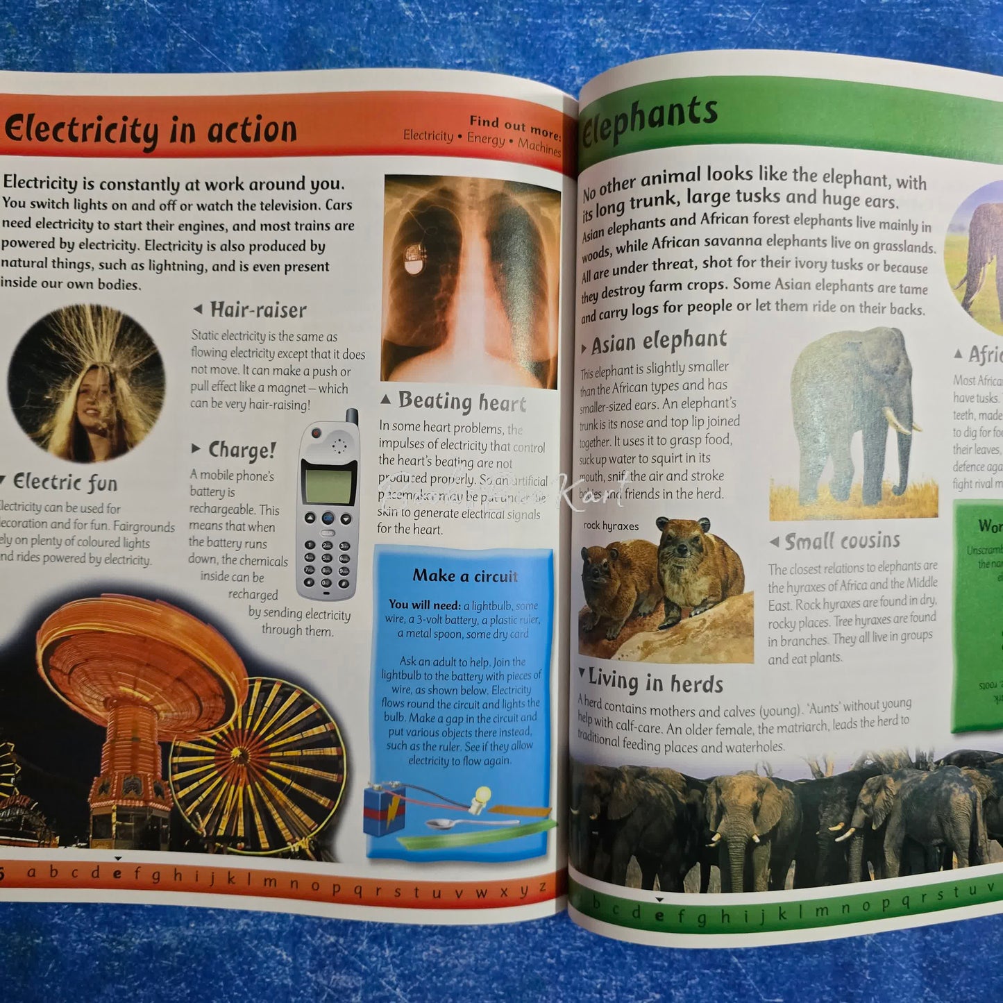 A to Z Encyclopedia D to E