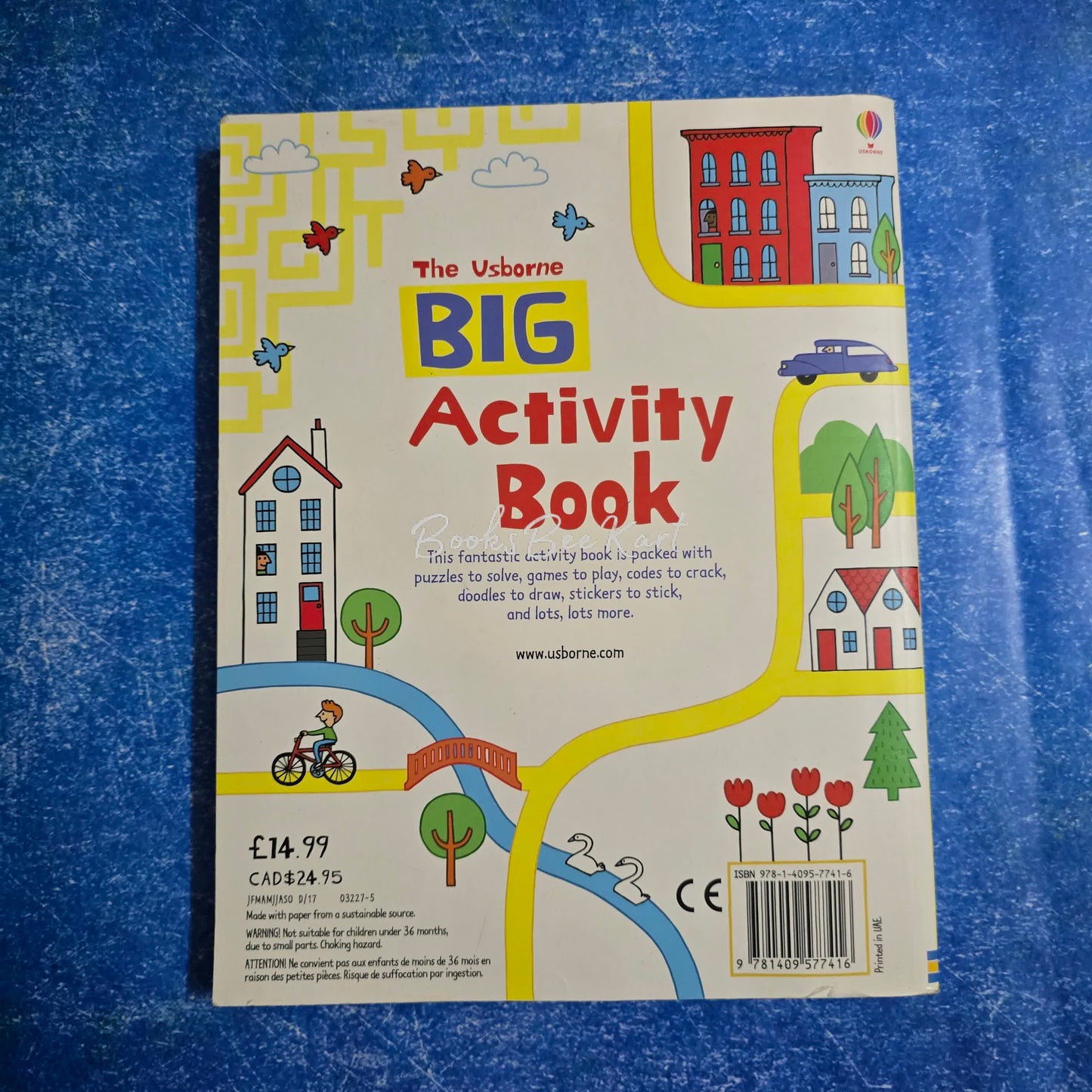 Usborne Big Activity Book