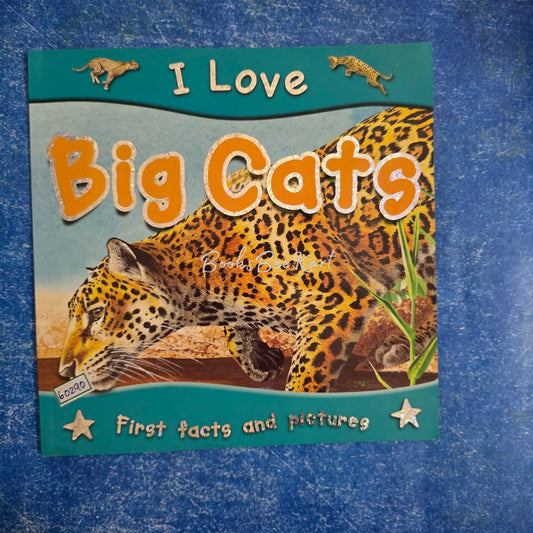 I love big Cats