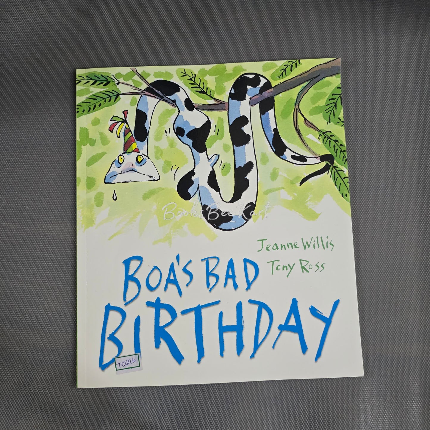 Boa's Bad Birthday