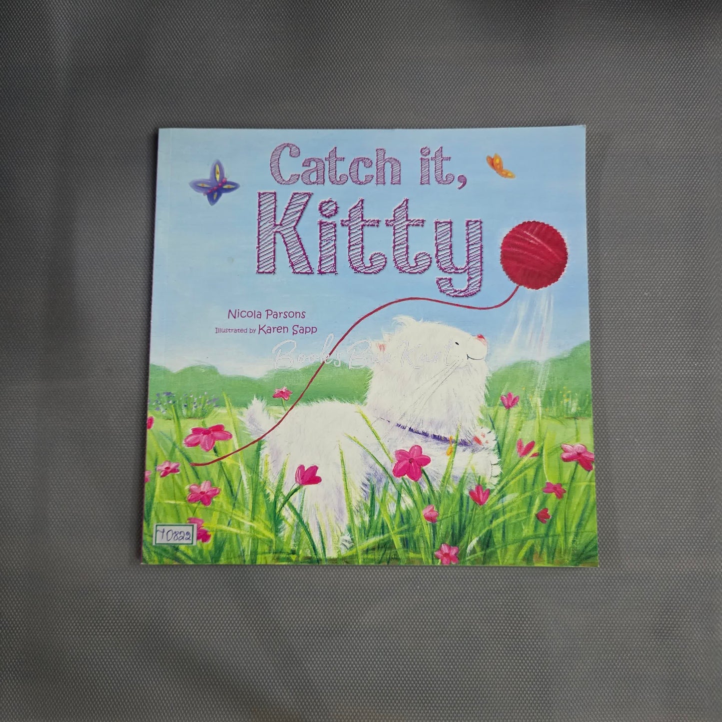 Catch it, Kitty