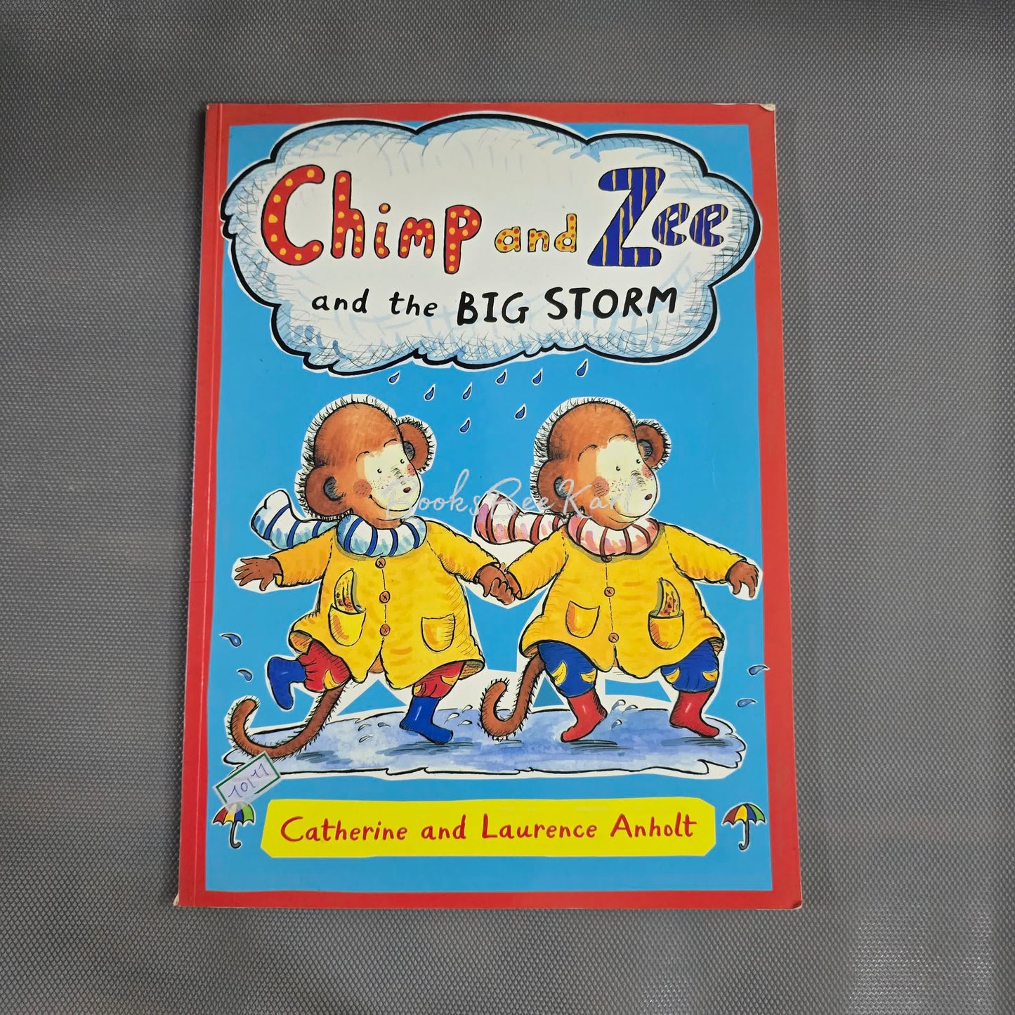 Chimp and Zee and the Big storm