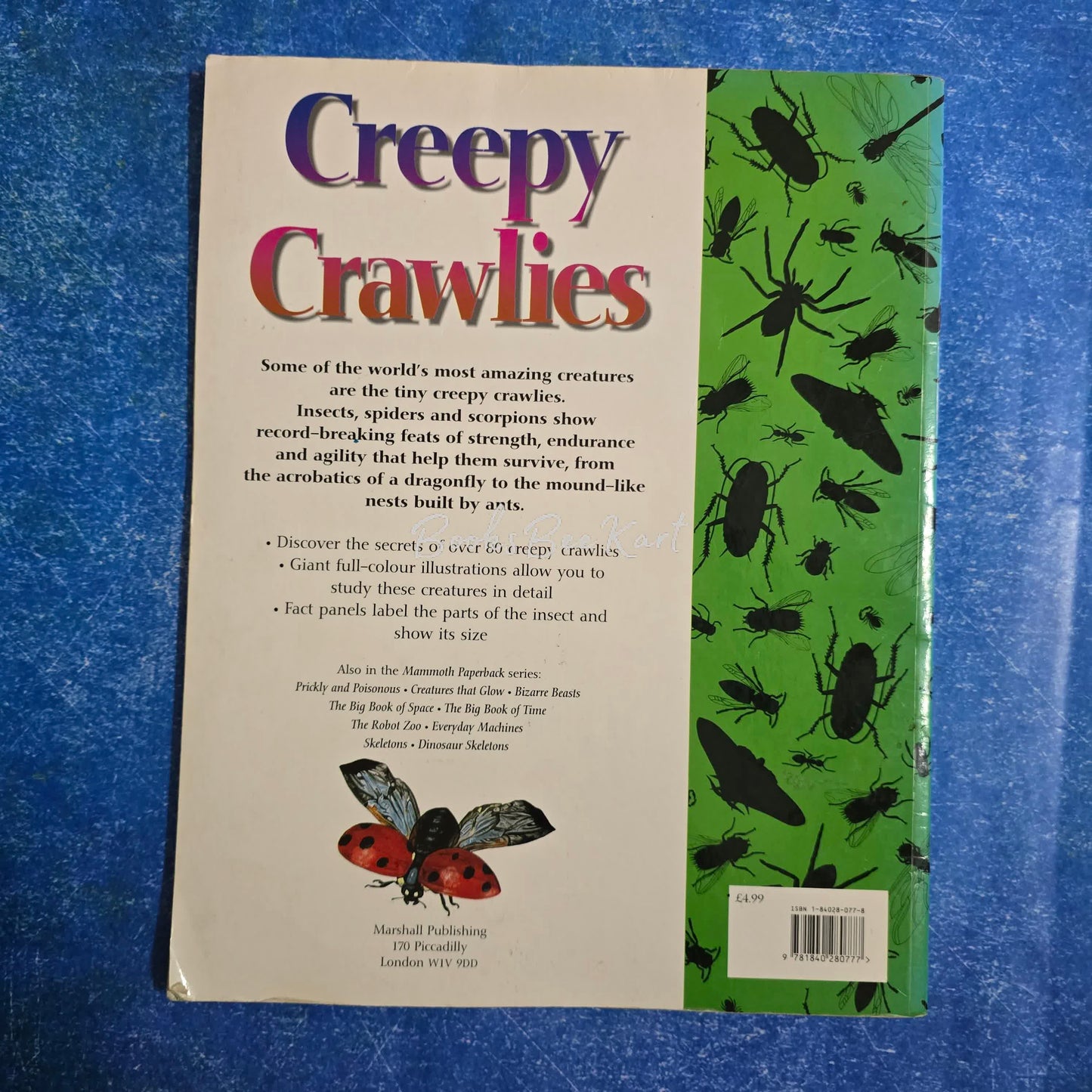 Creepy Crawlies