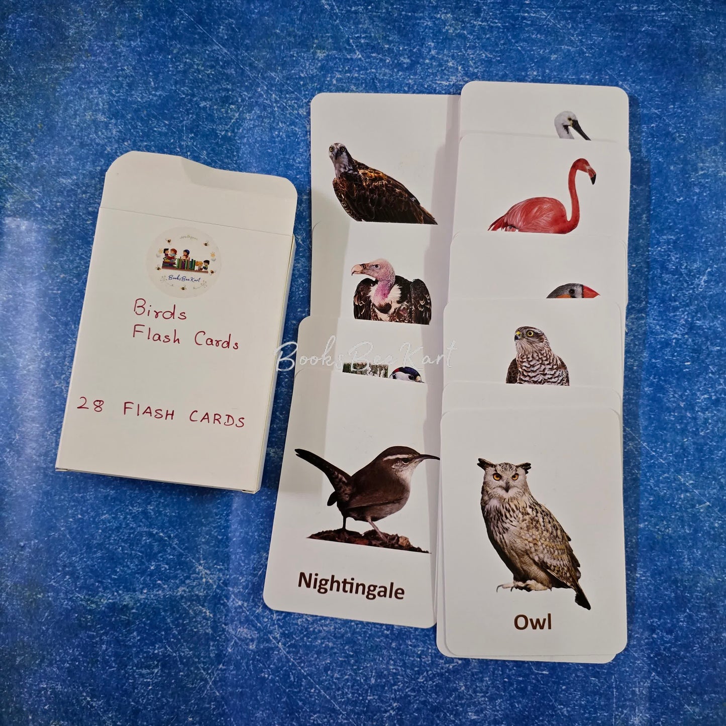 Birds - FlashCards