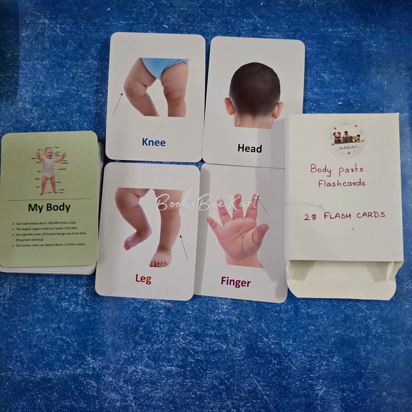 Body Parts - FlashCards