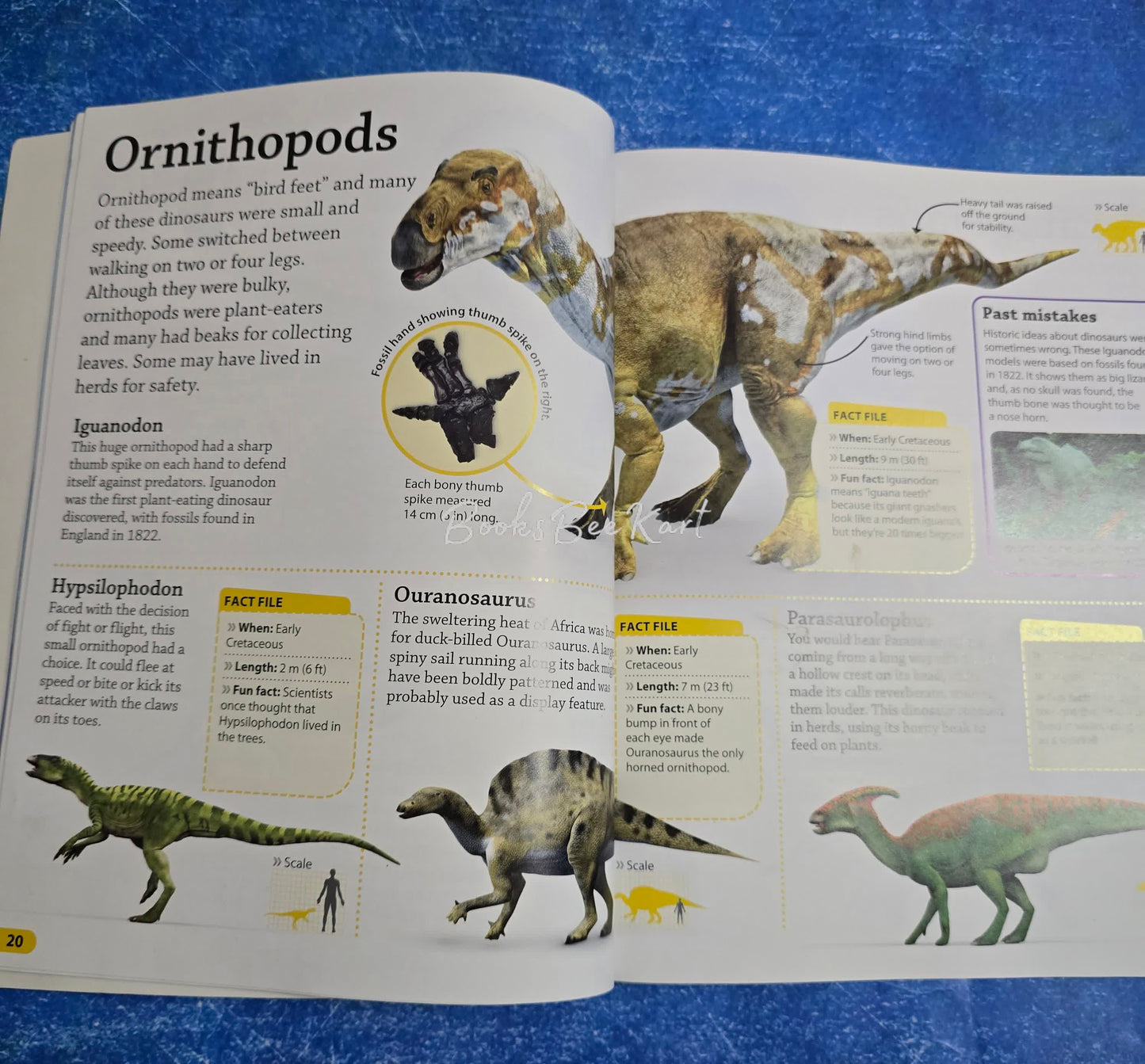 Find out Dinosaurs