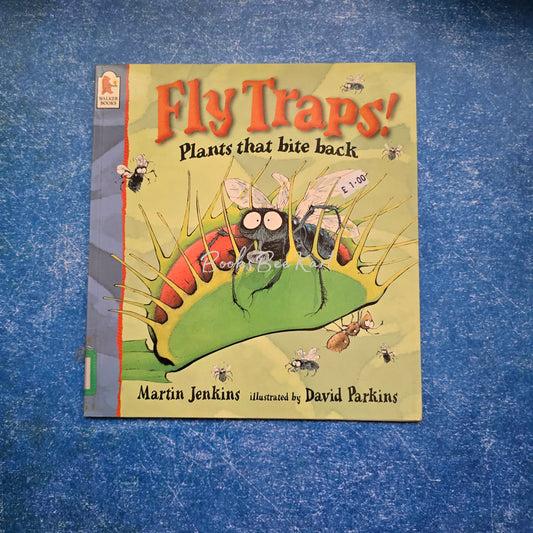 Fly Traps!