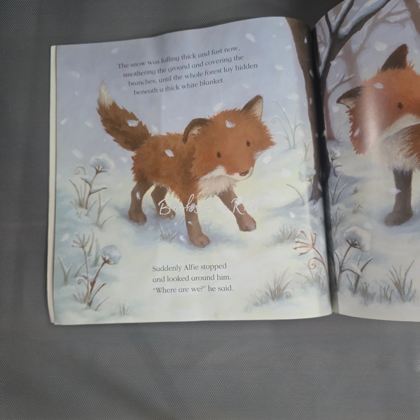 Foxes in the Snow