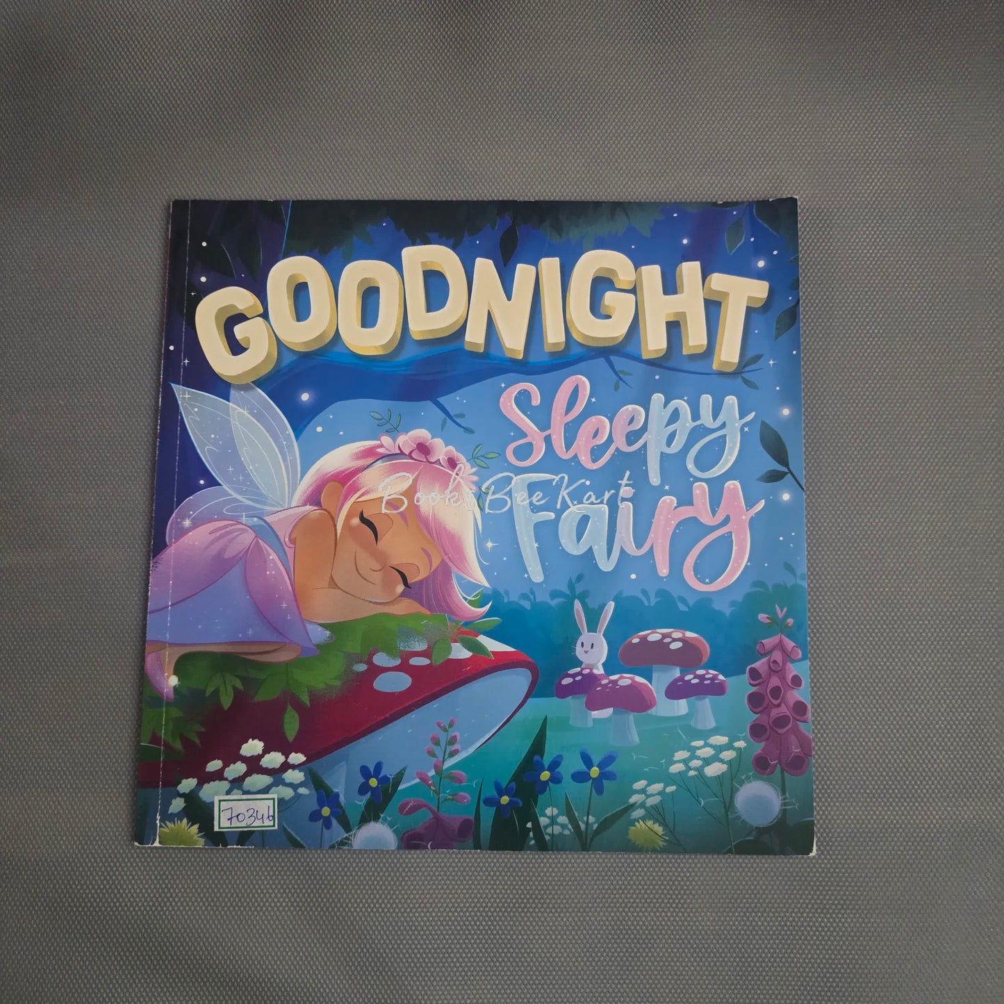 Goodnight Sleepy Fairy