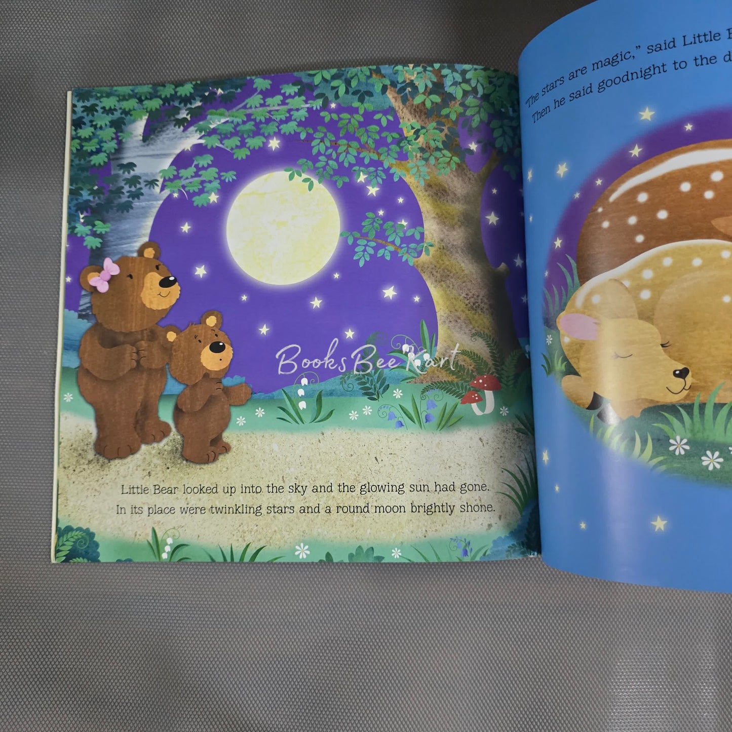 Goodnight Little Bear
