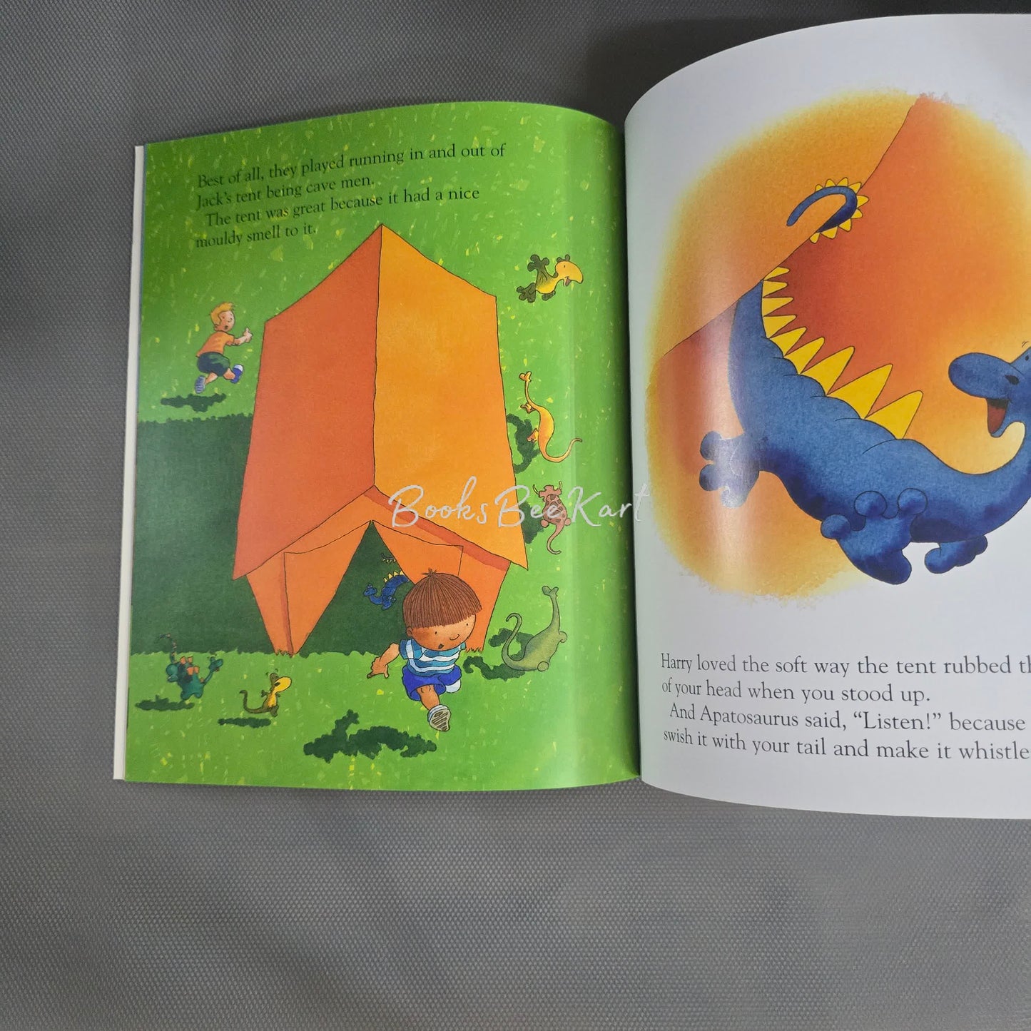 Harry and the Dinosaurs First Sleepover