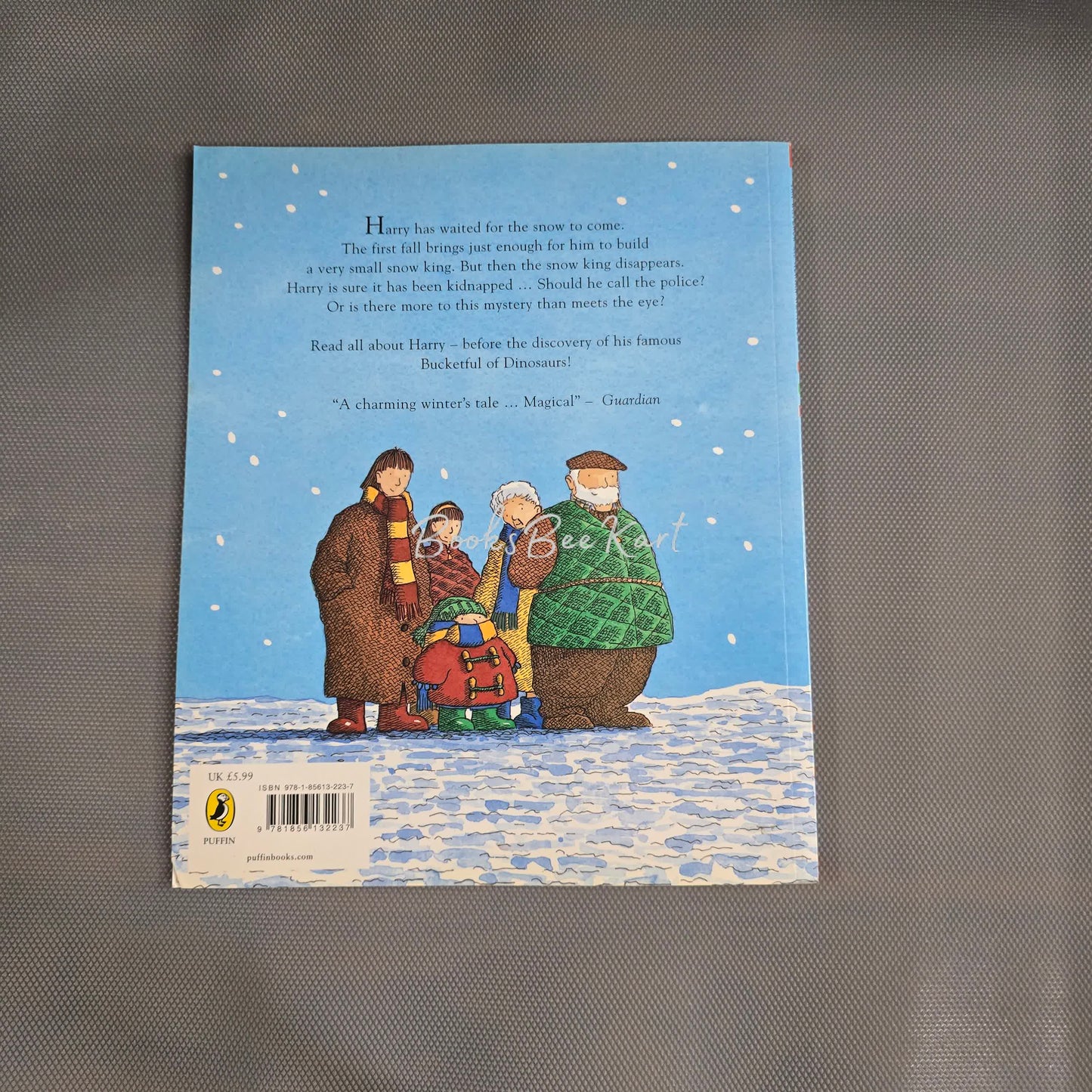 Harry and the Snow King