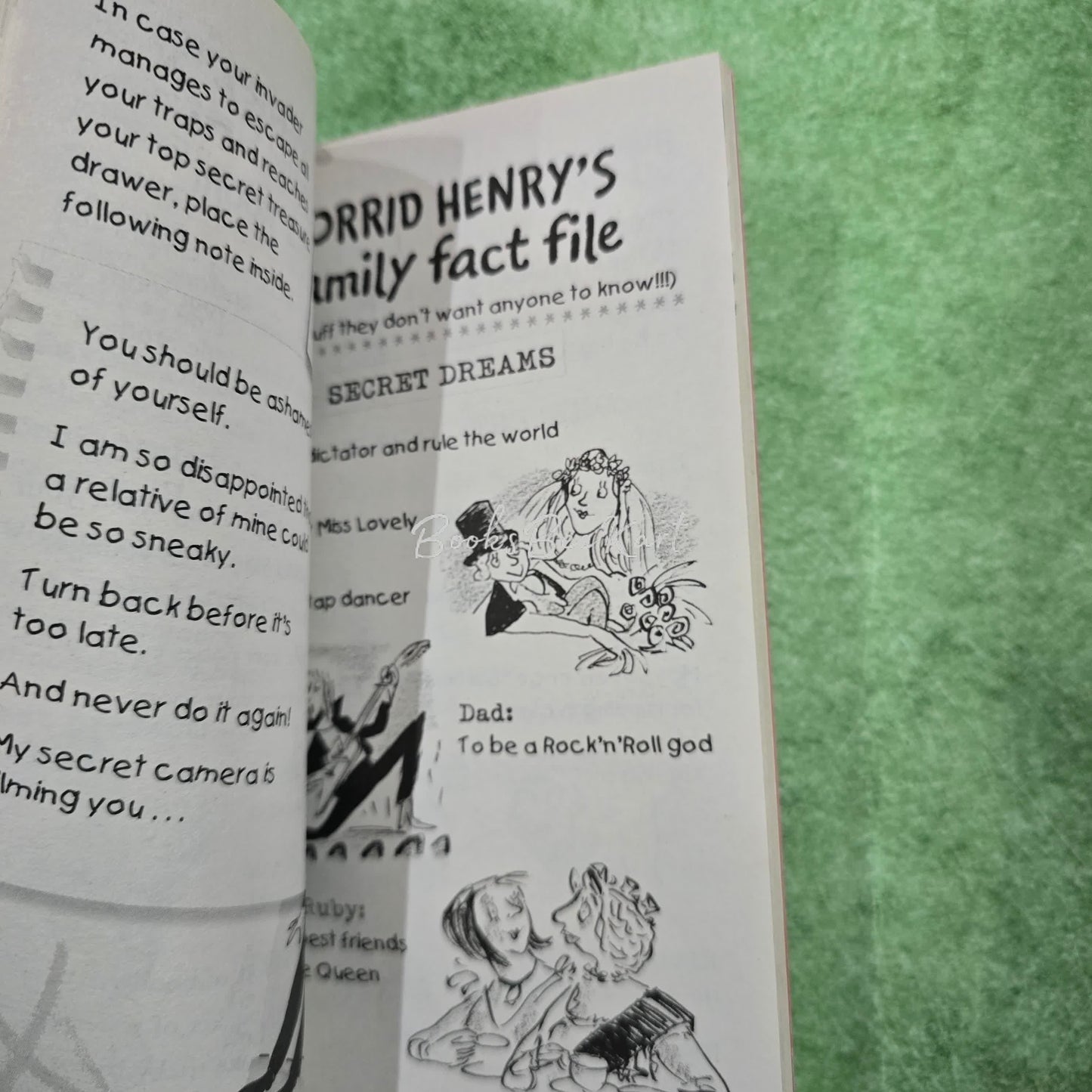 HORRID HENRY FUNNY Fact Files