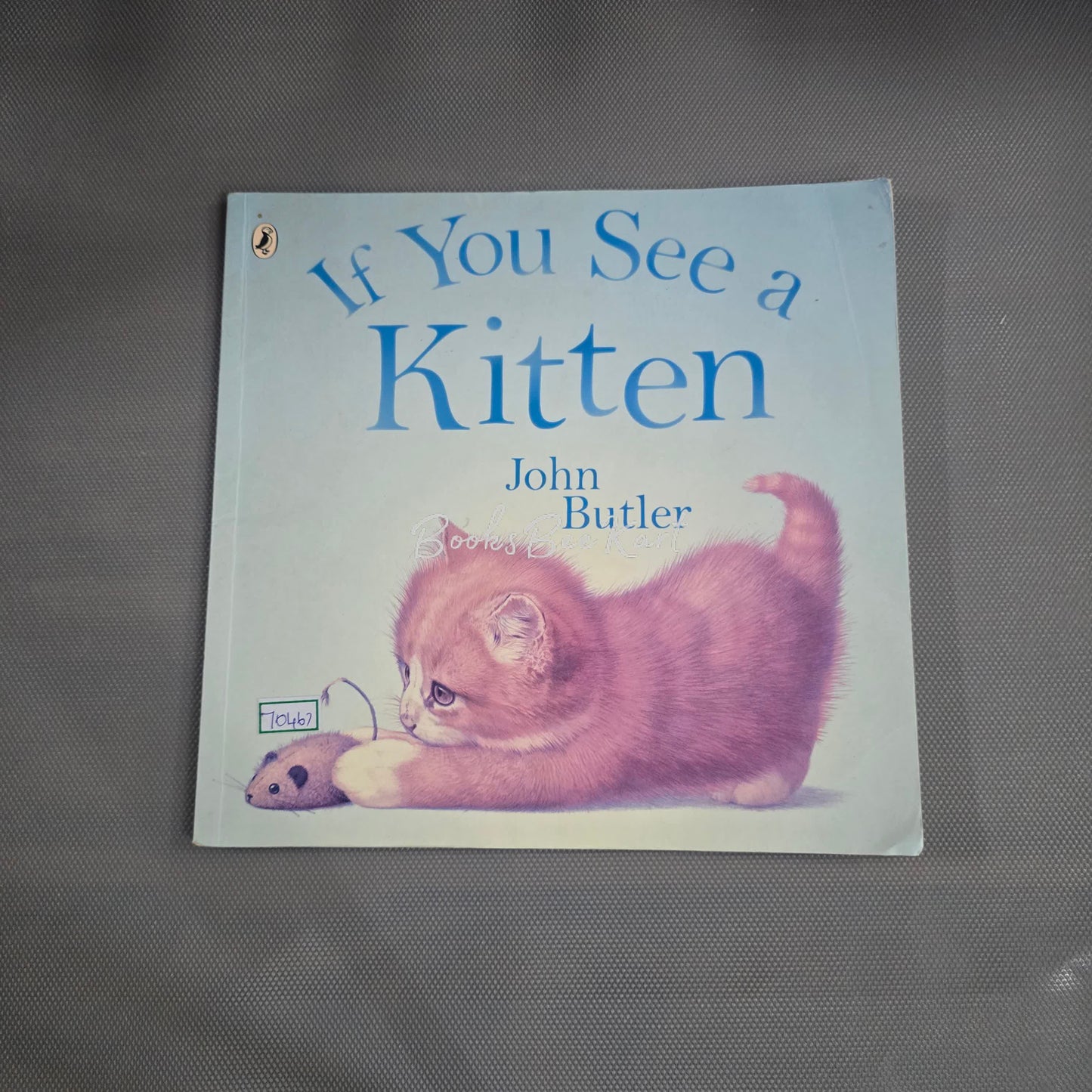 If you see a kitten