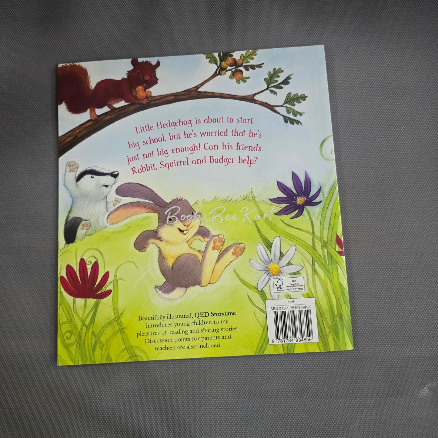 Little Hedgehog's Big Day