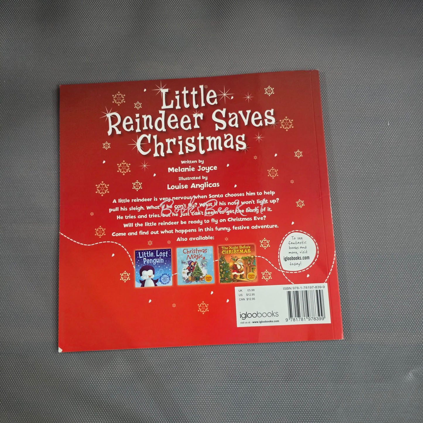 Little Reindeer Save christmas