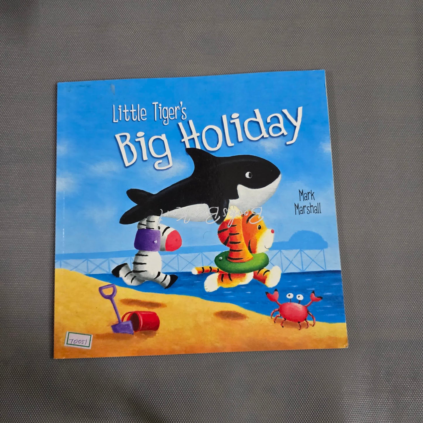 Little tiger's Big Holiday