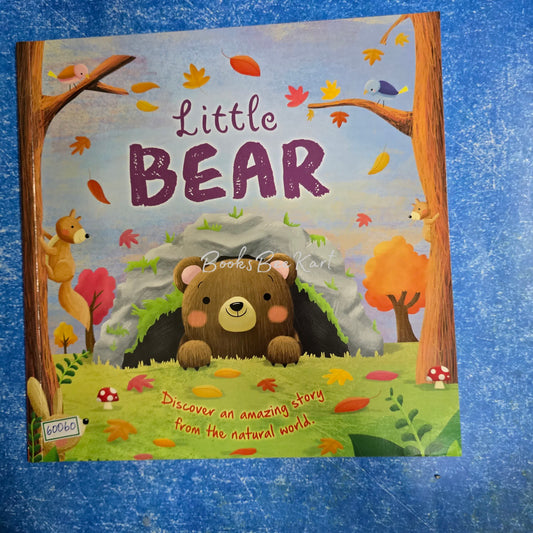 Little Bear