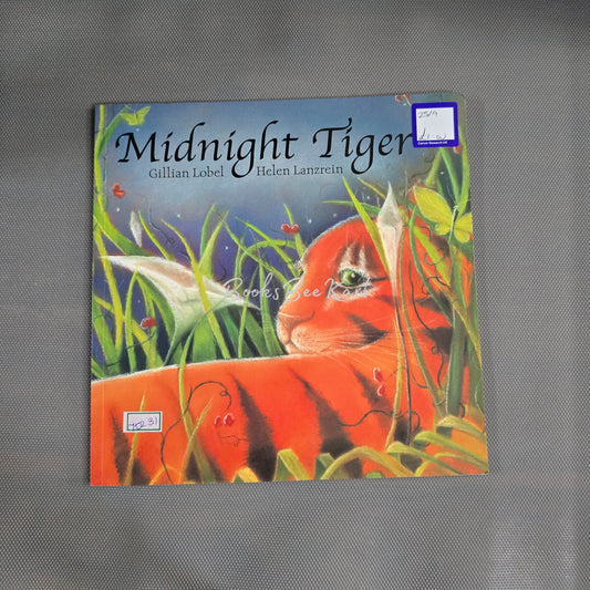 Midnight Tiger