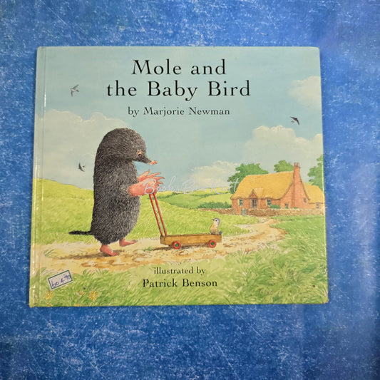 Mole and the baby bird