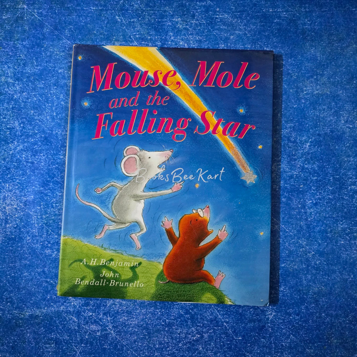 Mouse ,Mole and the Falling Star