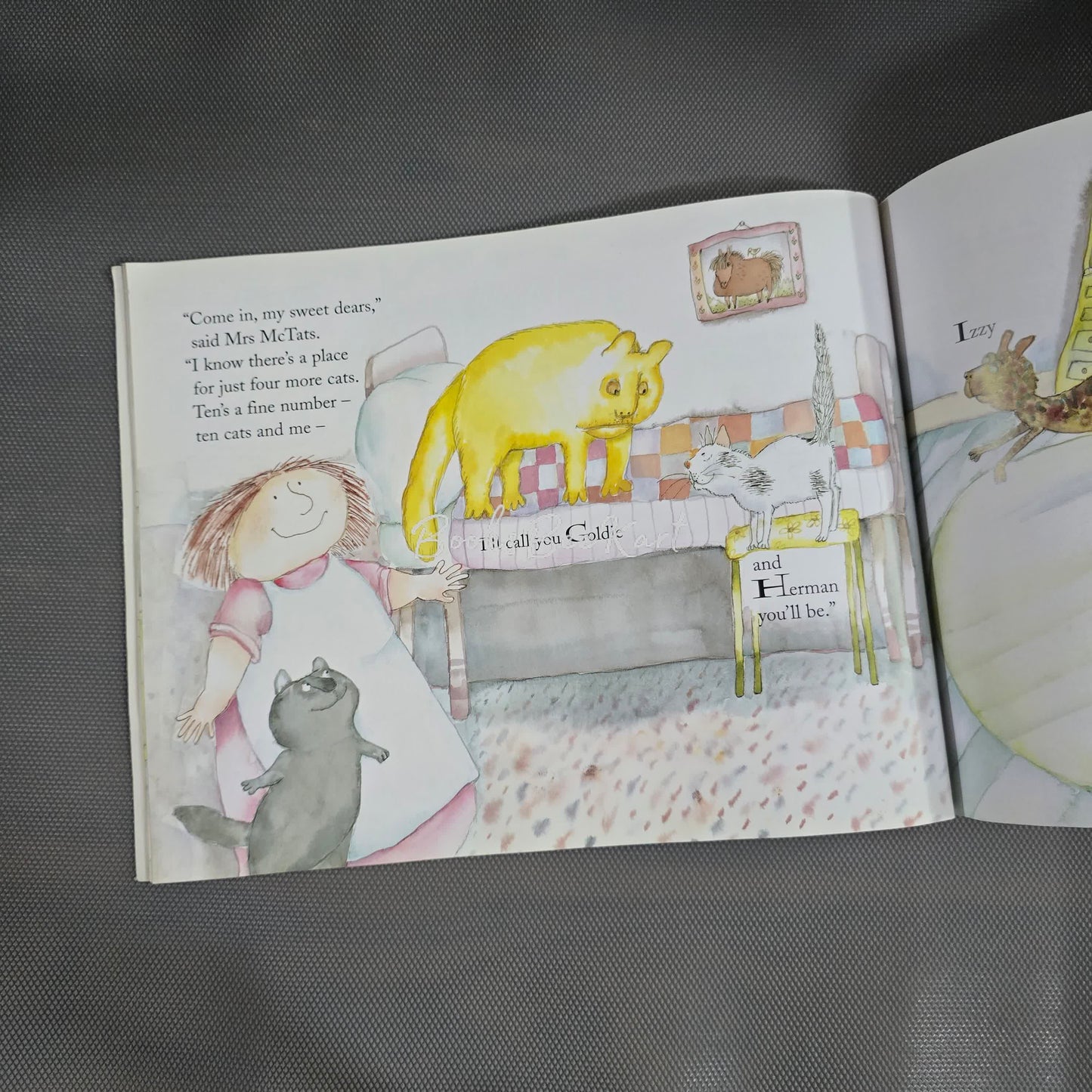 Mrs Mctats and her houseful of Cats