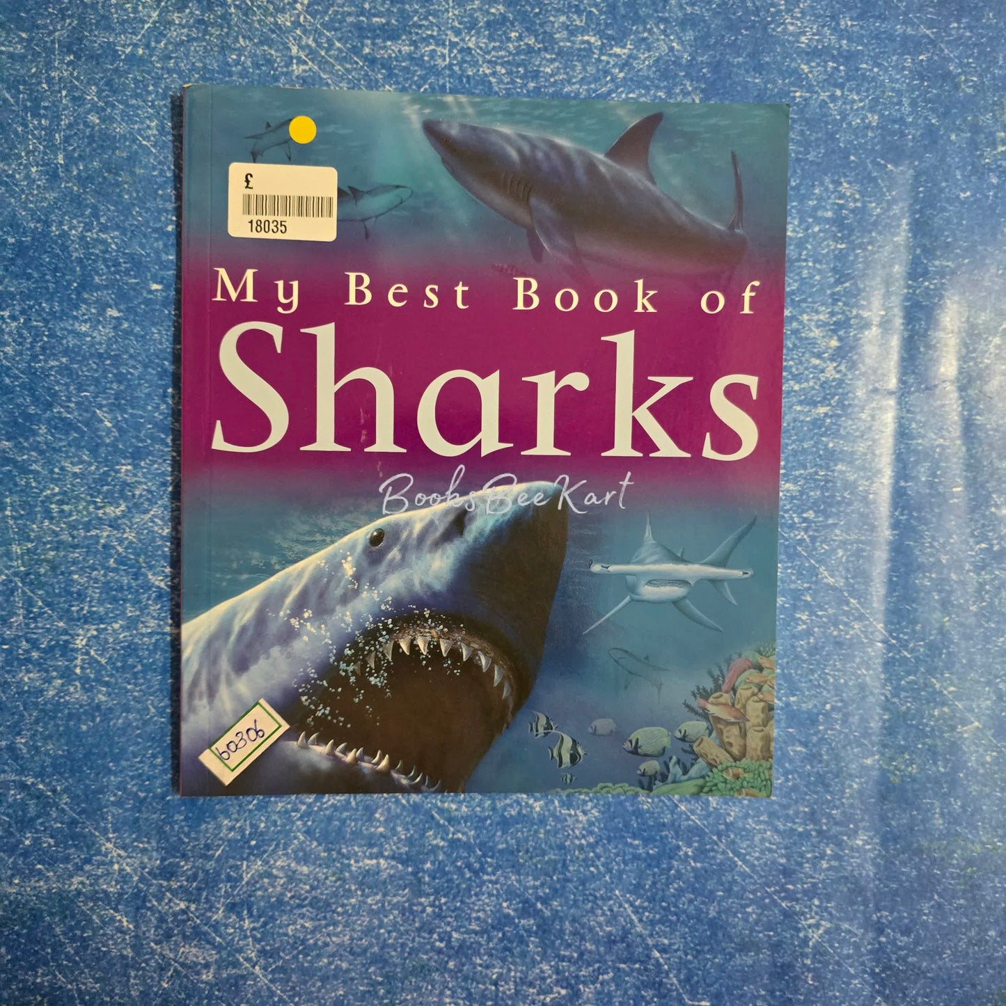 My Best book of Sharks