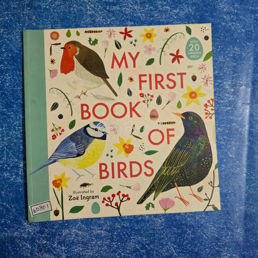 My First Book of Birds