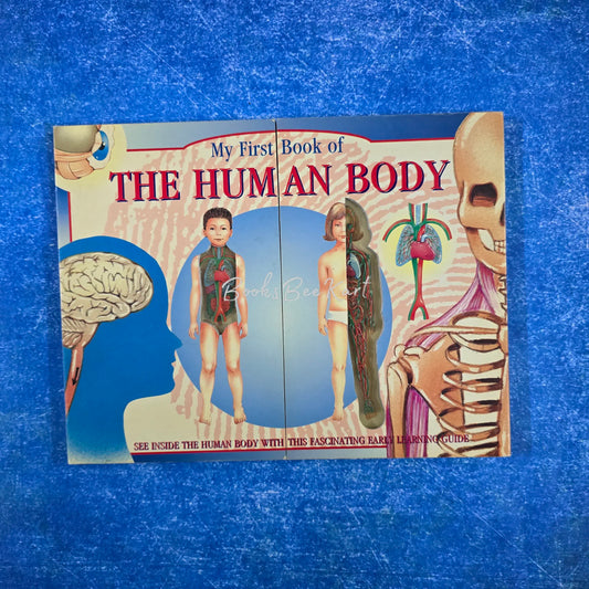 My First Book of THE HUMAN BODY