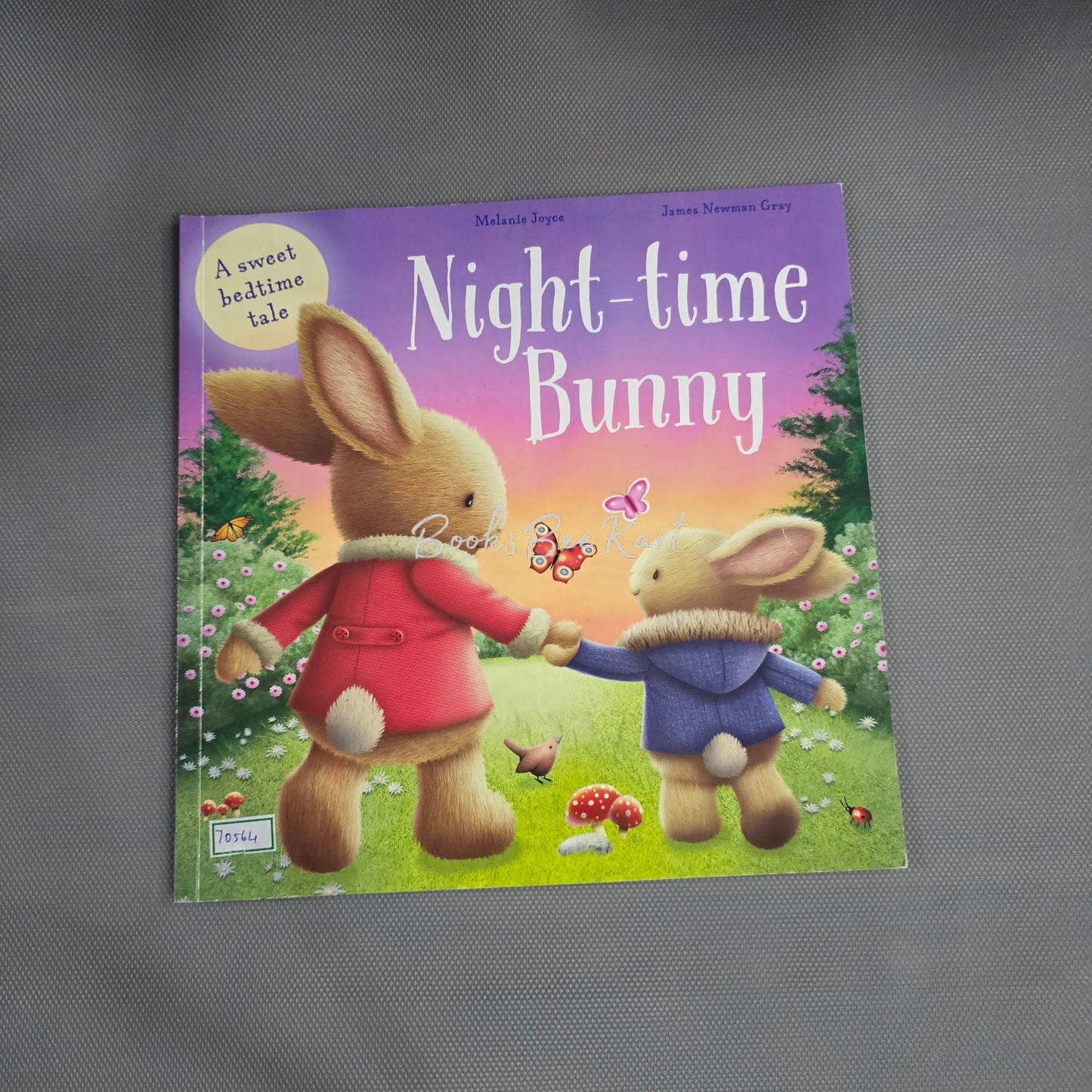 Night Time Bunny