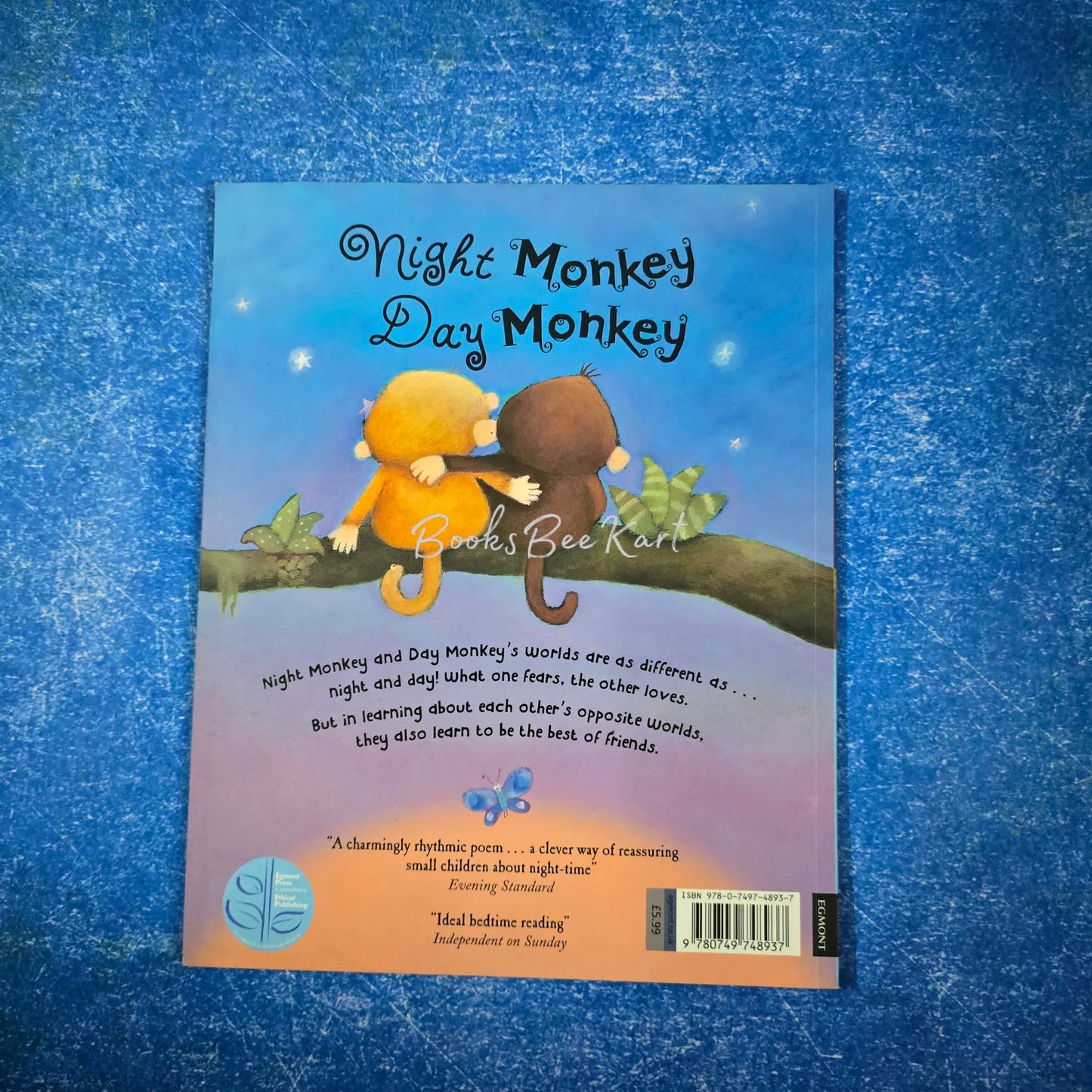 Night Monkey Day Monkey