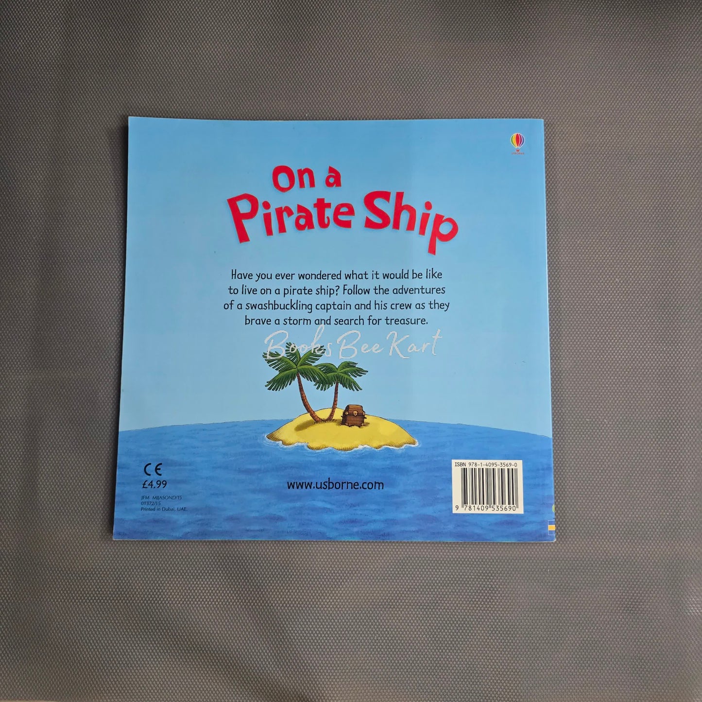 On a Pirate Ship