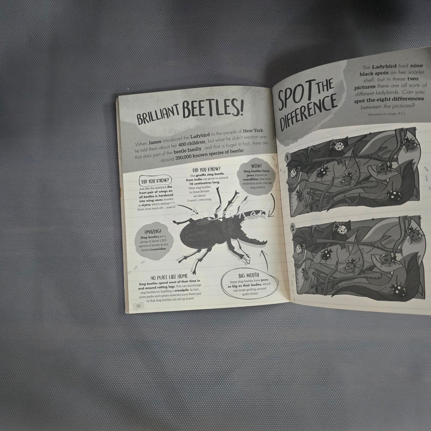 James's Minibeast Book