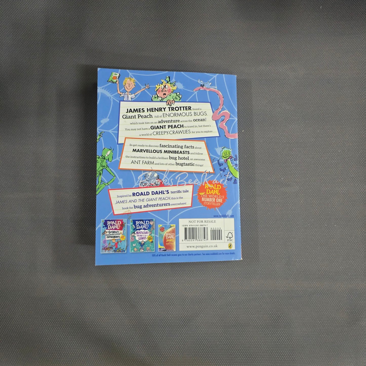 James's Minibeast Book