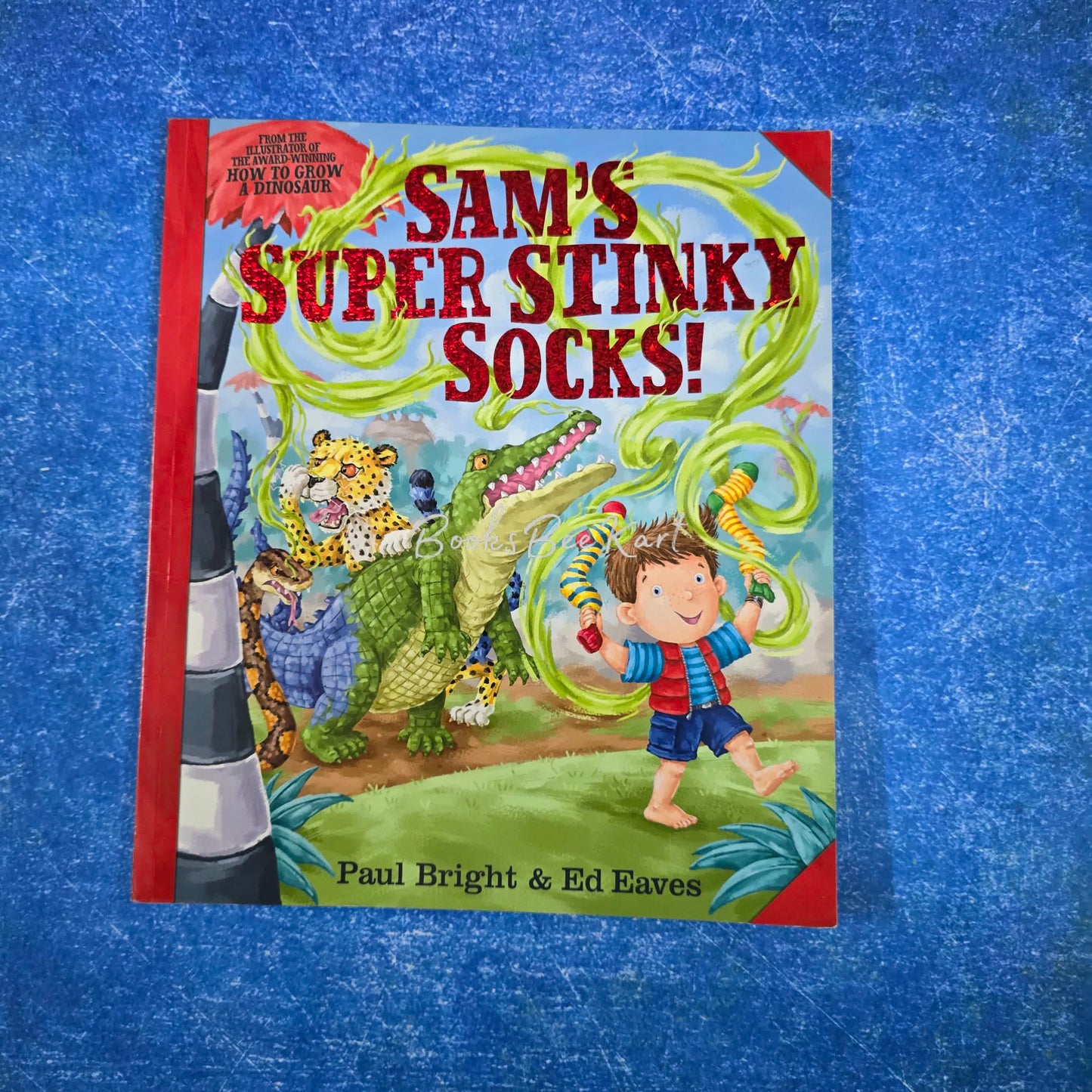 SAM'S SUPER STINKY SOCKS!