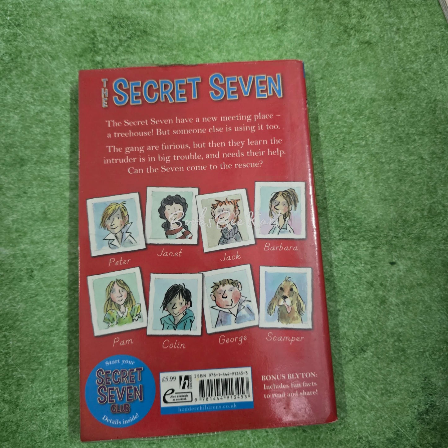 SECRET SEVEN