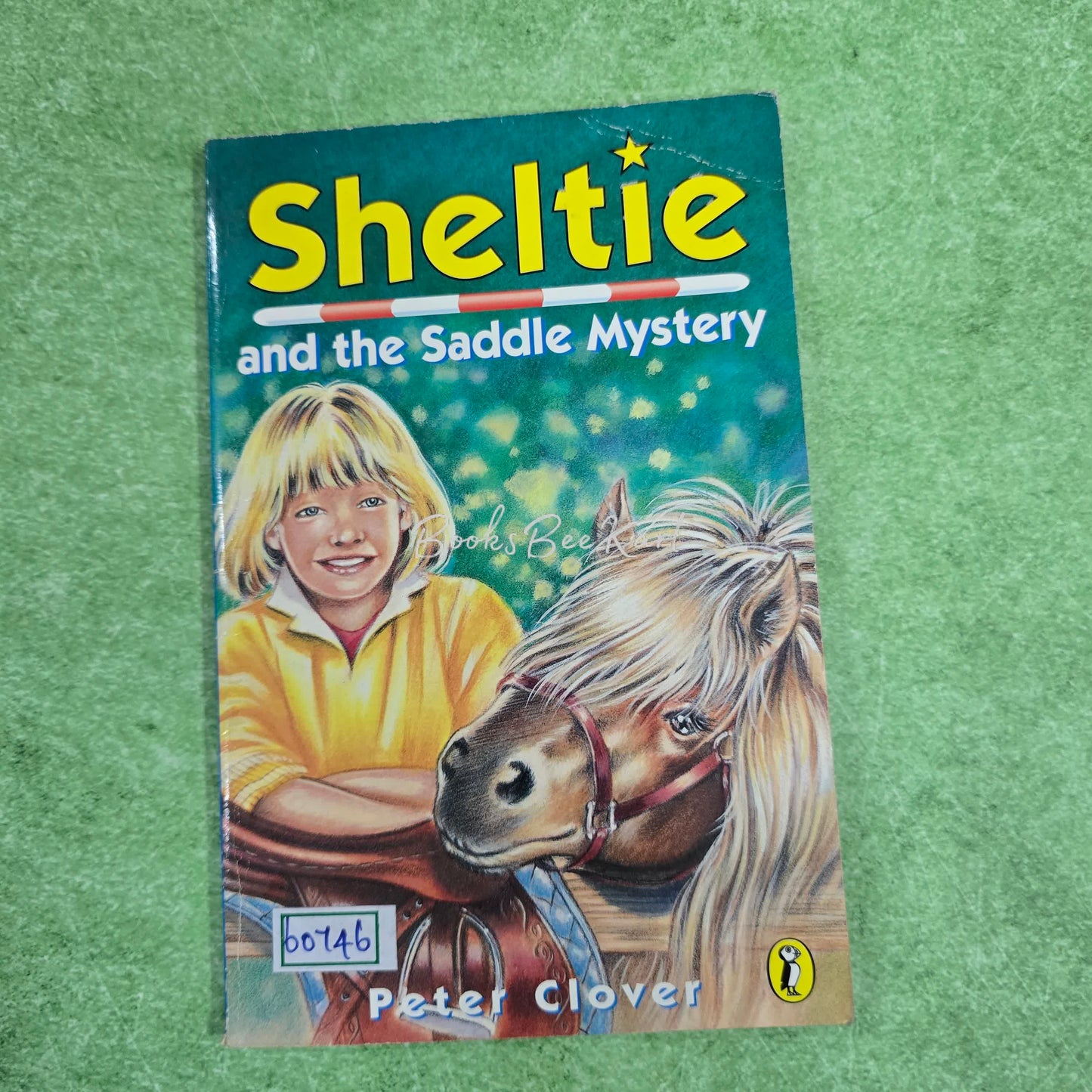 Sheltie and the saddle Mystery